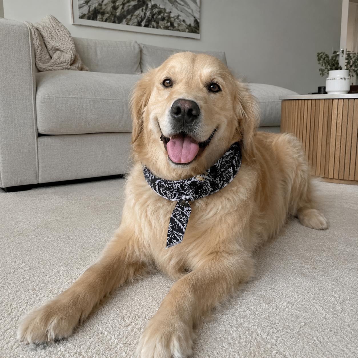 Bufanda Refrescante IceScarf™ - Pañuelo de Hielo para Perros y Gatos