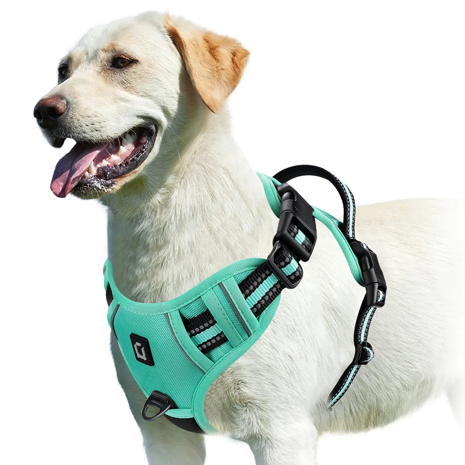 Arnés EasyWalk Pro™ - Arnés Antitirones para Perros con Asa de Control
