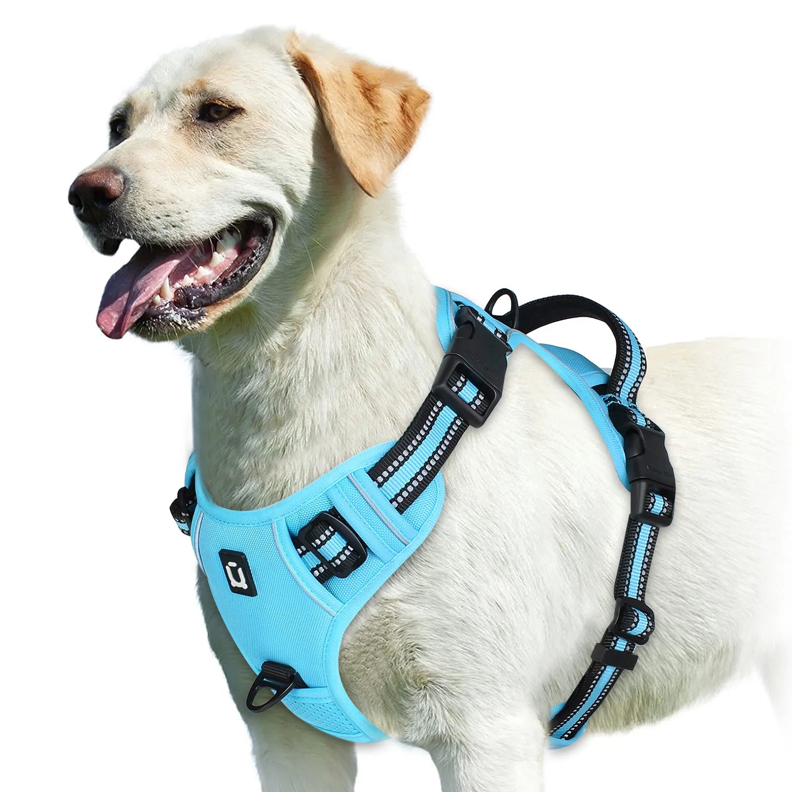 Arnés EasyWalk Pro™ - Arnés Antitirones para Perros con Asa de Control