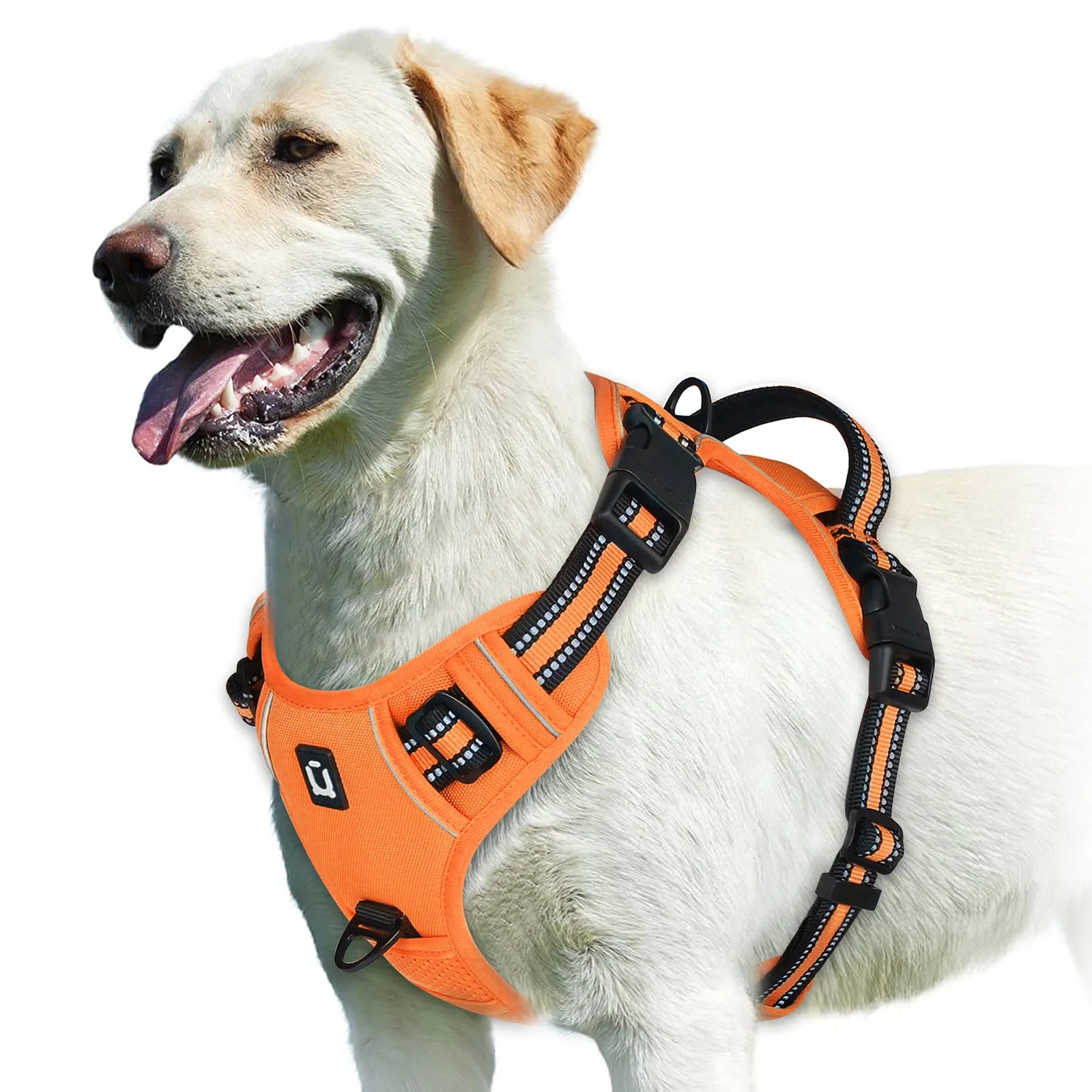 Arnés EasyWalk Pro™ - Arnés Antitirones para Perros con Asa de Control