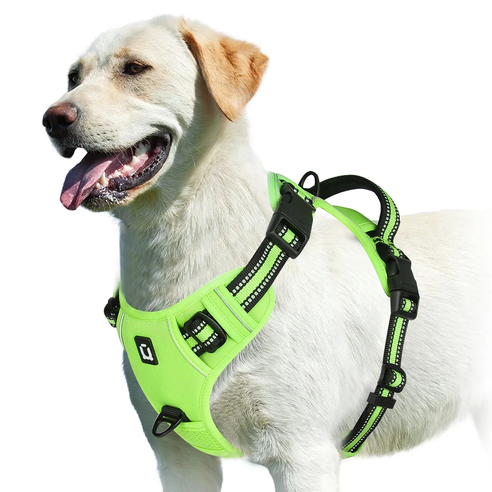 Arnés EasyWalk Pro™ - Arnés Antitirones para Perros con Asa de Control