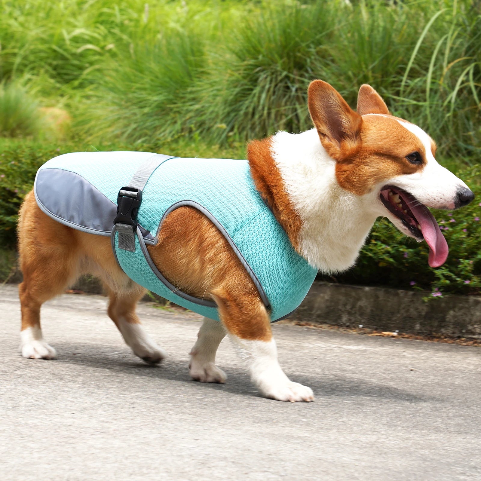 Perro con chaleco refrigerante FreshVest