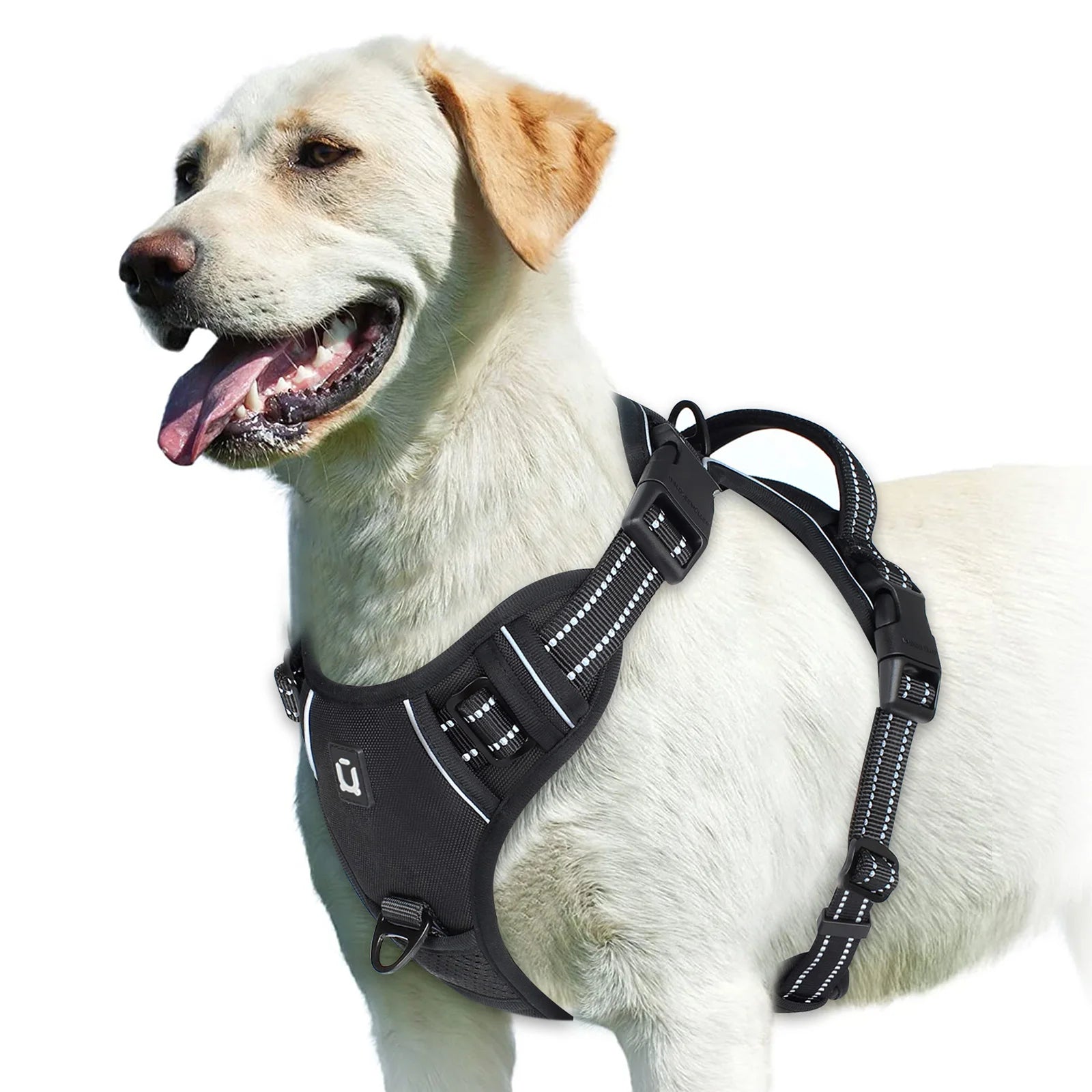 Arnés EasyWalk Pro™ - Arnés Antitirones para Perros con Asa de Control