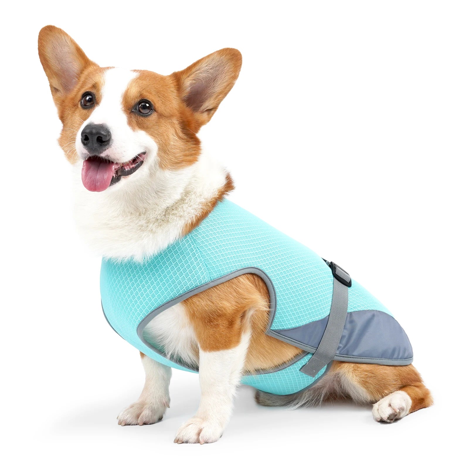 Chaleco refrigerante FreshVest para perros - Mibu