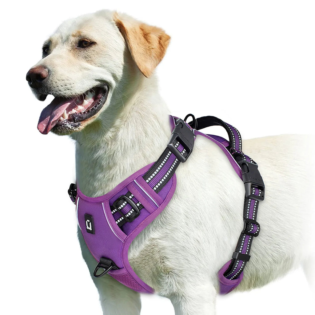 Arnés EasyWalk Pro™ - Arnés Antitirones para Perros con Asa de Control